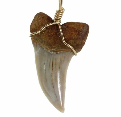 Fossil Mako Tooth Necklace - Bakersfield, California #95269